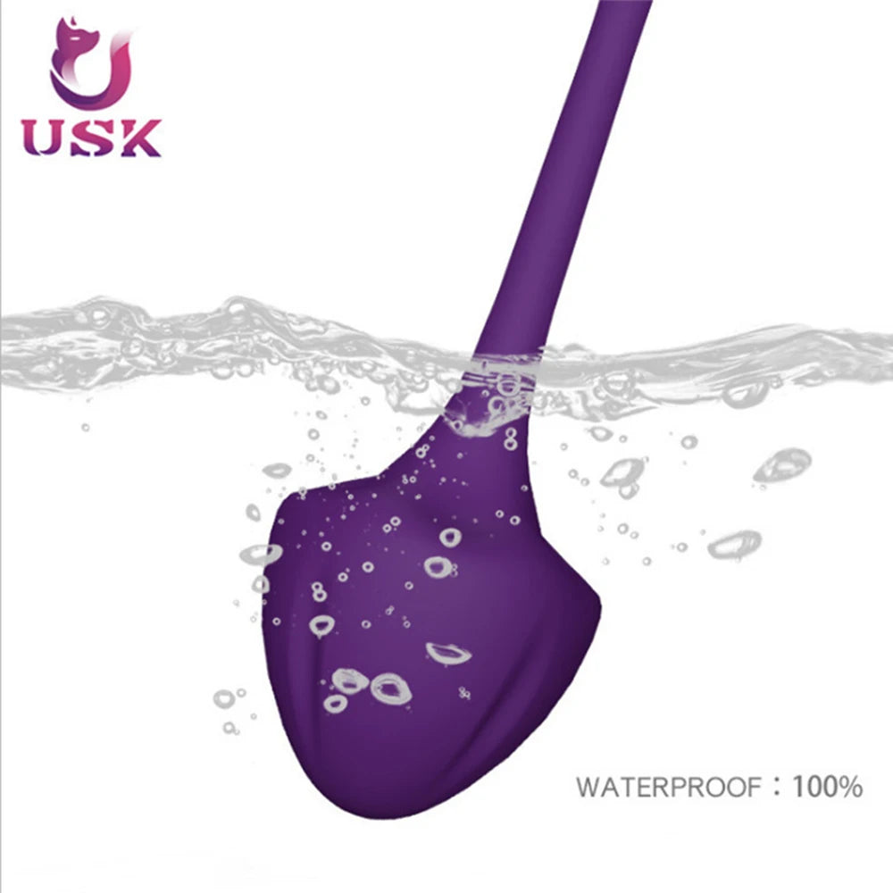 Kegel Exercise Set For Women Tightening Products Postpartum Recovery Weights Exercise Pelvic Muscle Pelvic Floor Ben Wa Ball
