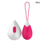 Silicone Vibrating Eggs Wireless Vaginal Ball Vibrating Exercises Smart Love Ball Remote Jump Eggs Vibrator Sex Toys for Women 5
